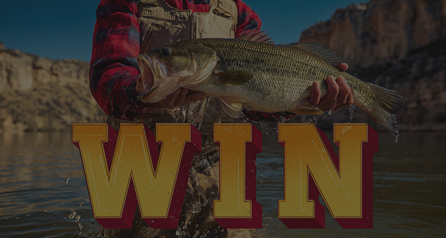 Big Bass Splash